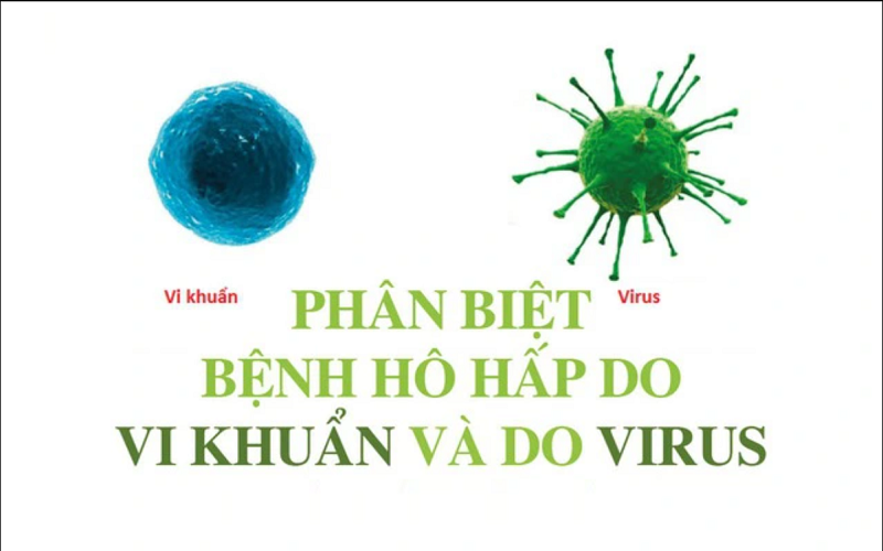 ho-do-virus-virus